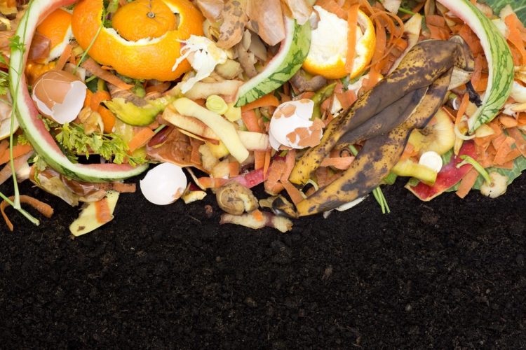 Ten Great Reasons to Start Composting