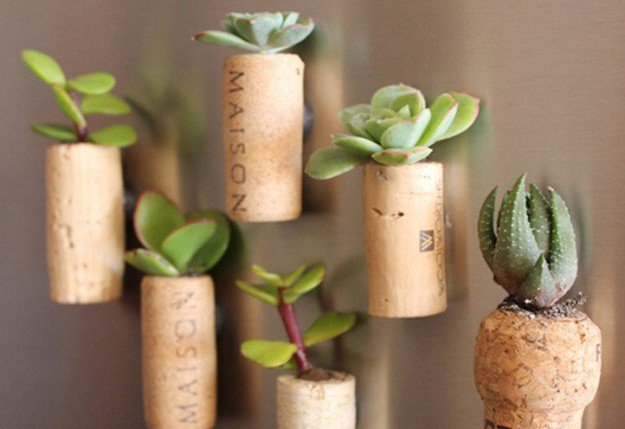 Turning Your Trash Into Treasure With Upcycling