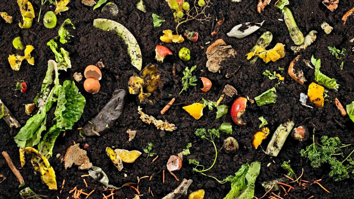 See How Your Neighbors Compost!